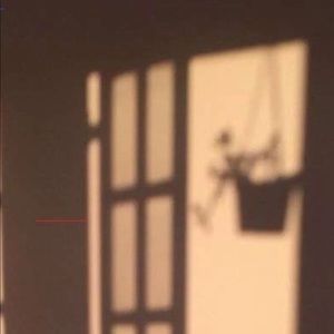 Meet your Posher, Molly